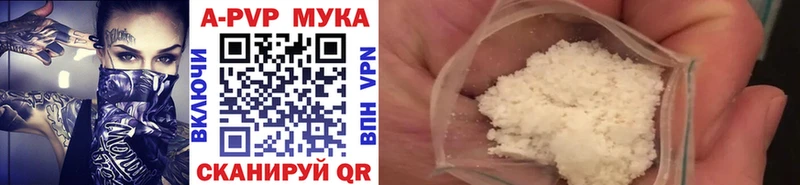 ОМГ ОМГ вход  Заинск  А ПВП крисы CK 