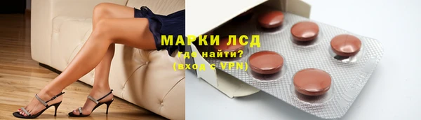 стафф Вязьма