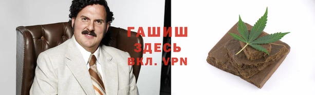 прущие грибы Вяземский