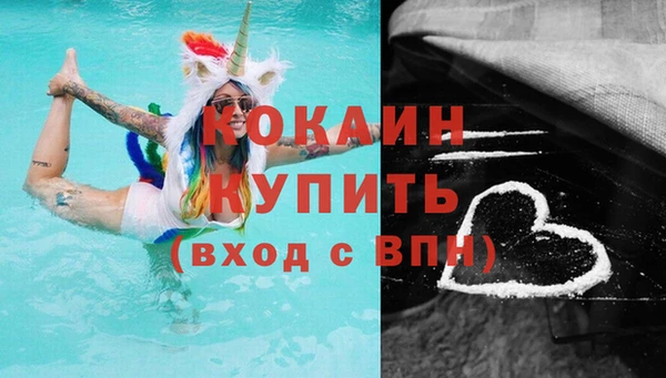 стафф Вязьма