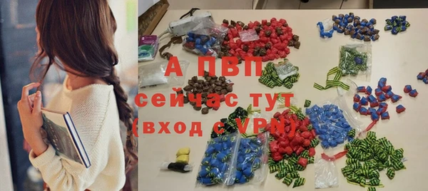 стафф Вязьма