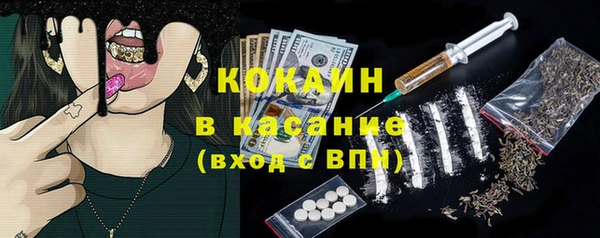 прущие грибы Вяземский