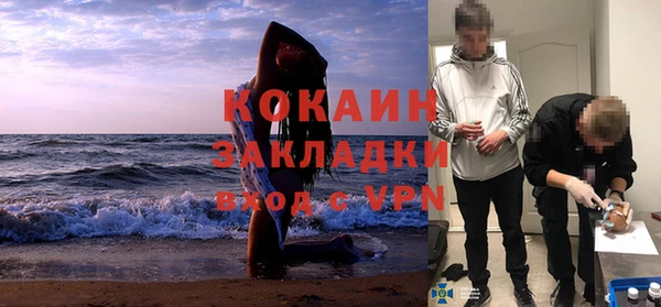 прущие грибы Вяземский