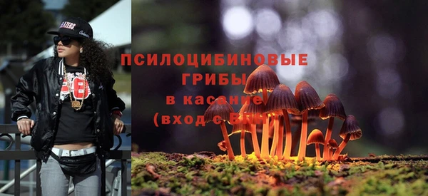 мет Горно-Алтайск